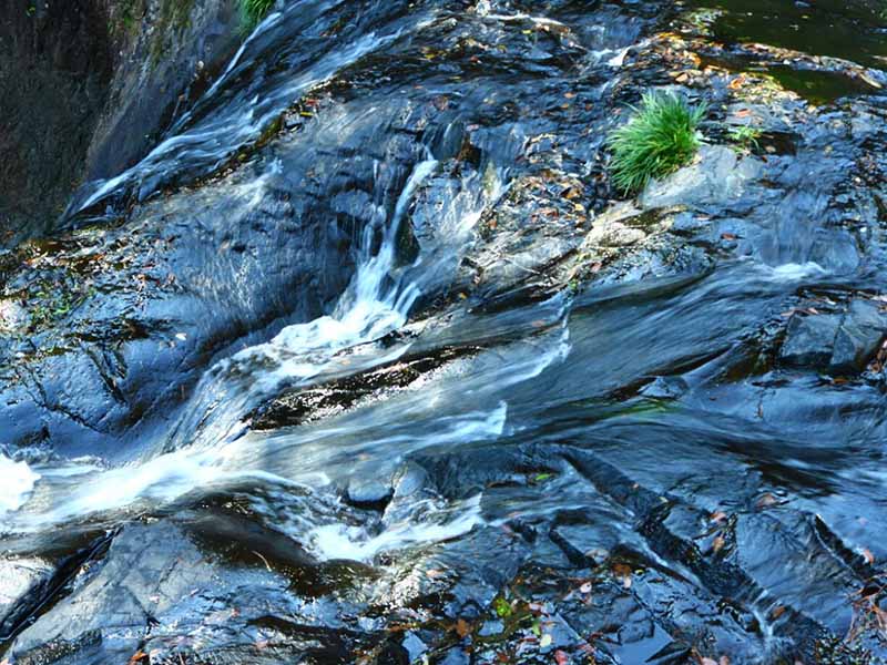 水質COD分析儀操作規范