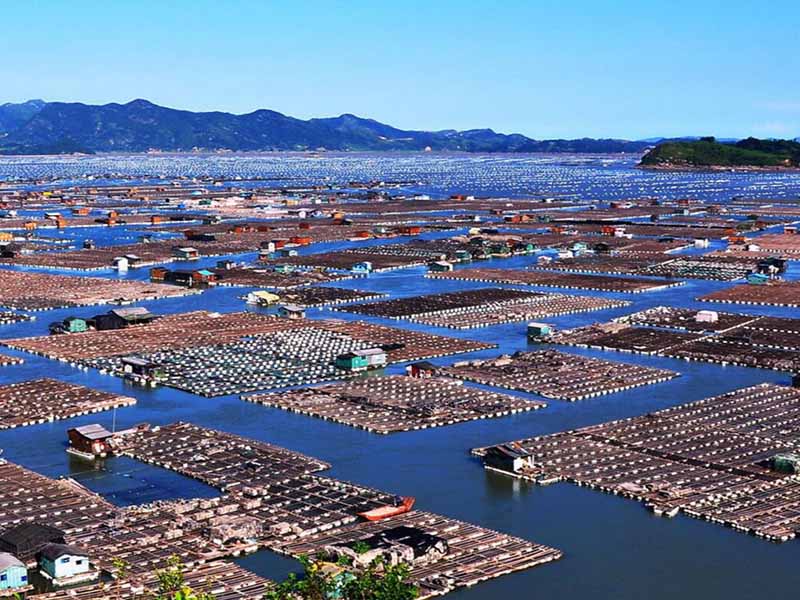 水產養殖二氧化氯使用方法