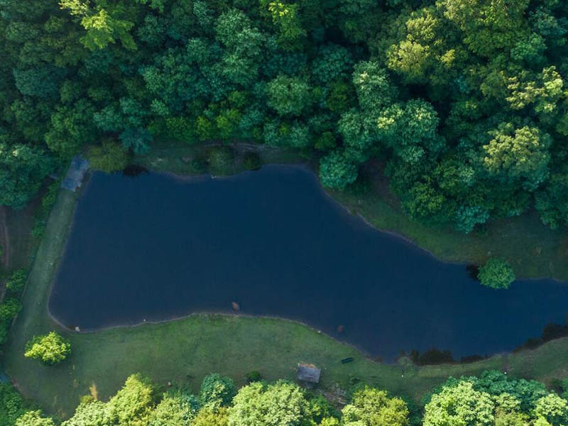 水質(zhì)檢測氨氮大于總氮是什么原因（氨氮與總氮的關(guān)系）